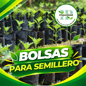 Bolsas para semillero