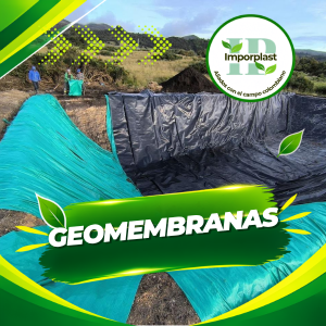 Geomembrana
